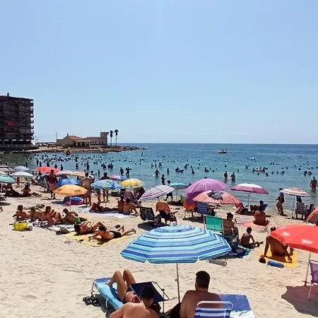Locos Costa Blanca